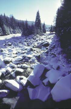 Langlauf Reisen Winter